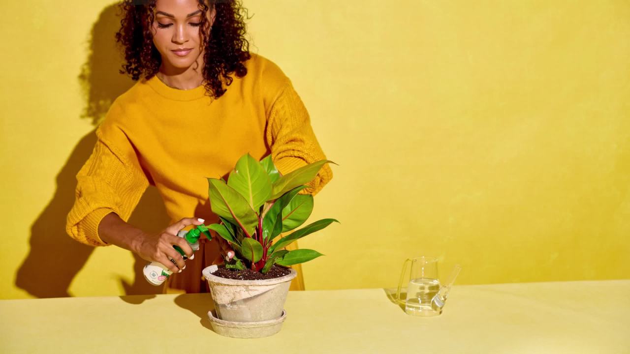 thumbnail video image 2 of Miracle-Gro Indoor Plant Food for All Plants, Liquid Plant Food, 8 fl. oz., 2 of 11