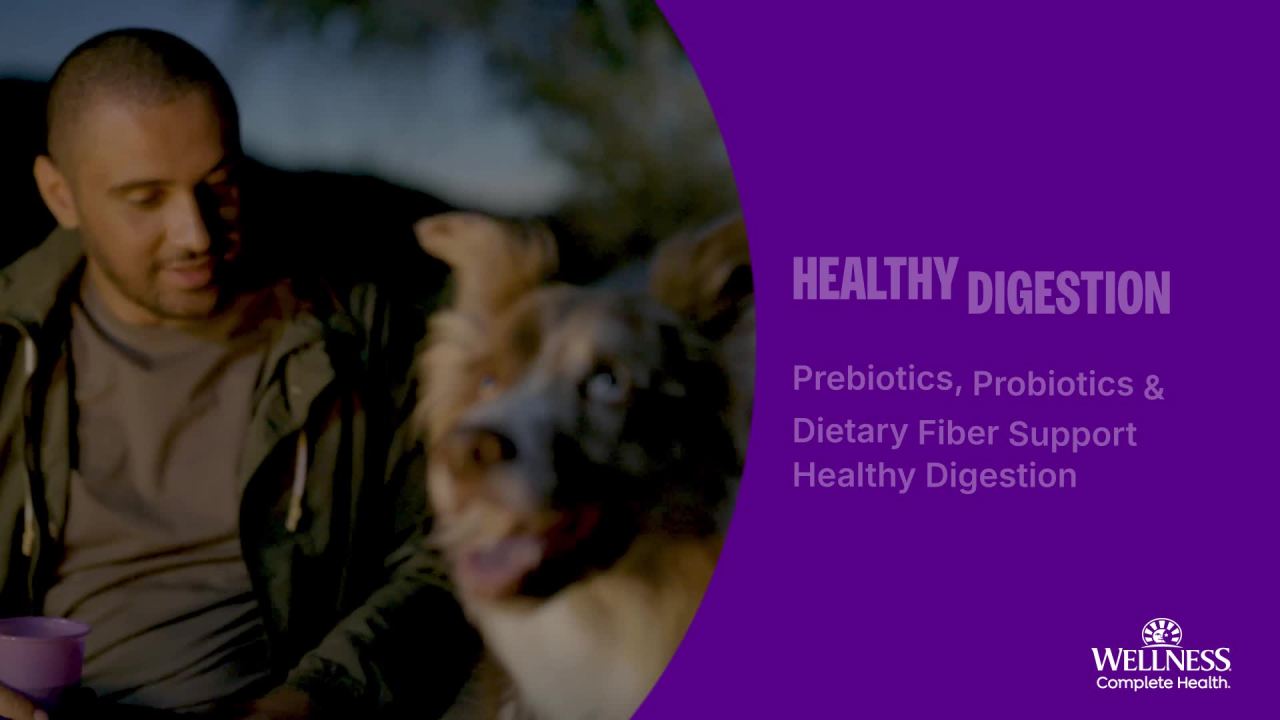 thumbnail video image 2 of Wellness Complete Health Dry Dog Food, Wholesome Grains, Natural, Chicken & Oatmeal, (30-Pound Bag), 2 of 9