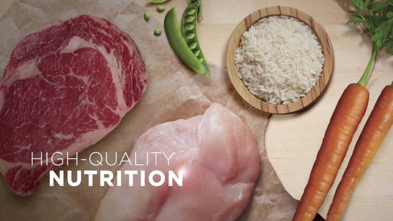 thumbnail video image 2 of Purina ONE PLUS Natural Wet Dog Food, High Protein Soft Lamb & Brown Rice, 13 oz Can, 2 of 12